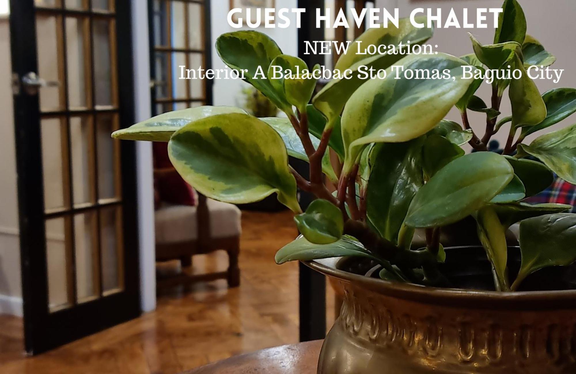 Guest Haven Chalet Baguio Bed And Breakfast Багио Экстерьер фото